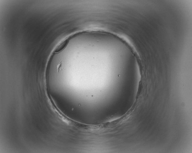 X0000067831191200604171119