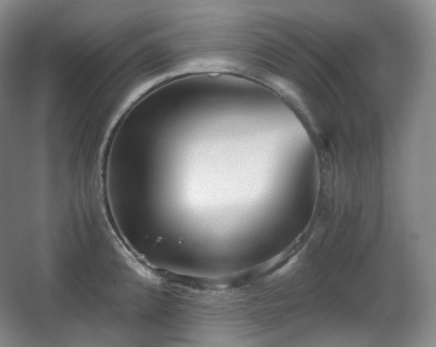 X0000067831192200604171119