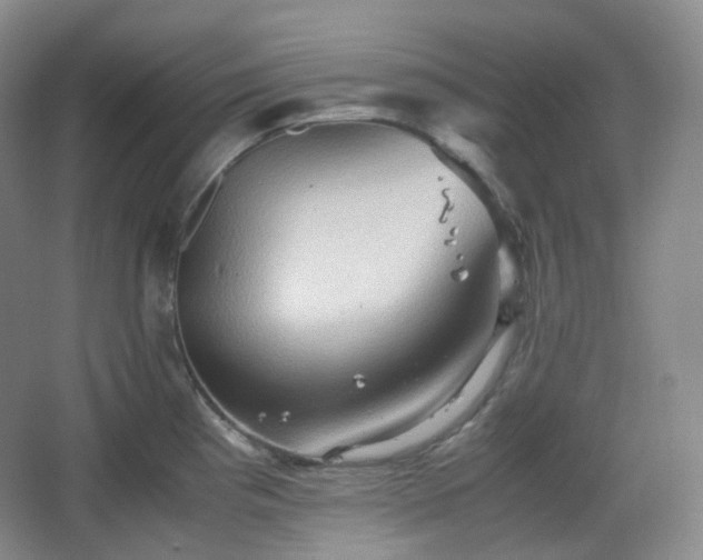 X0000067831193200604171119