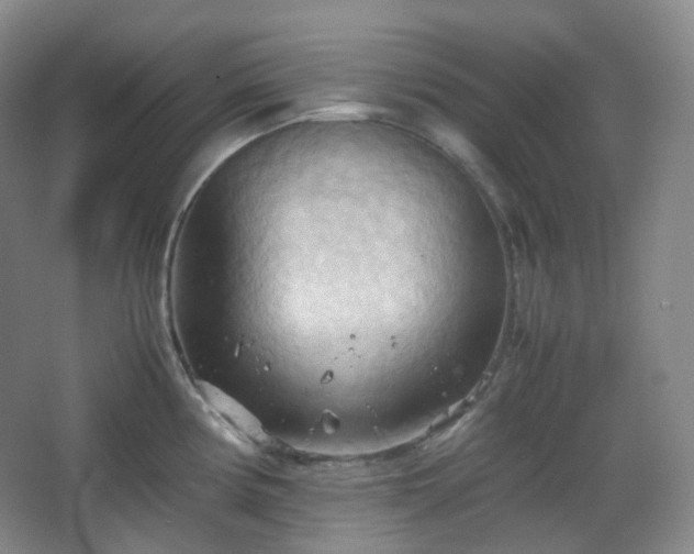 X0000067831194200604171119