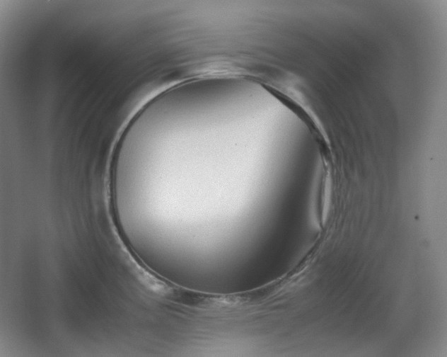 X0000067831195200604171119