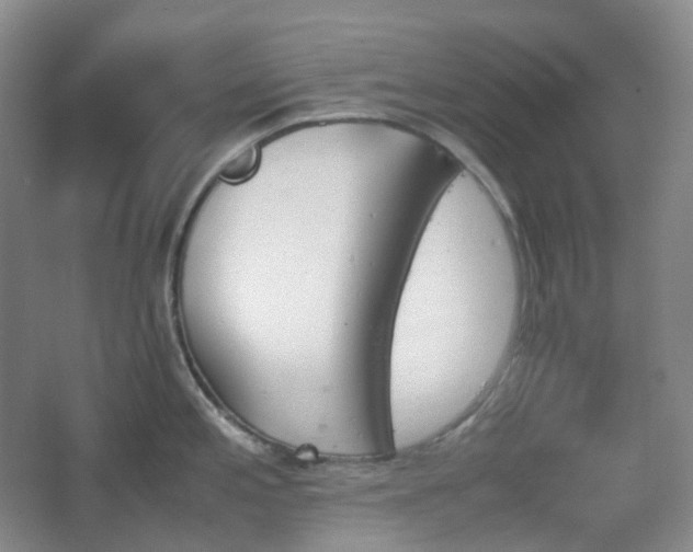 X0000067831197200604171119