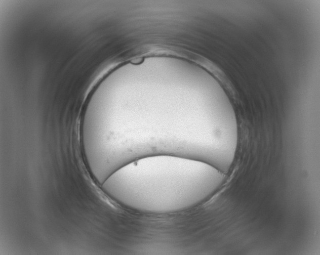 X0000067831198200604171119