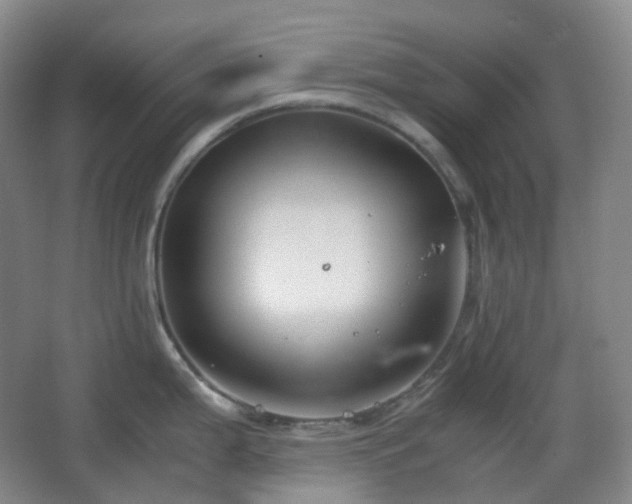 X0000067831199200604171119