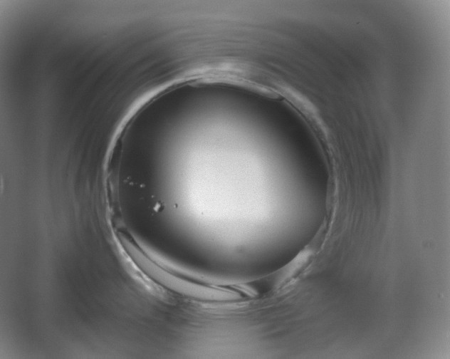 X0000067831200200604171119