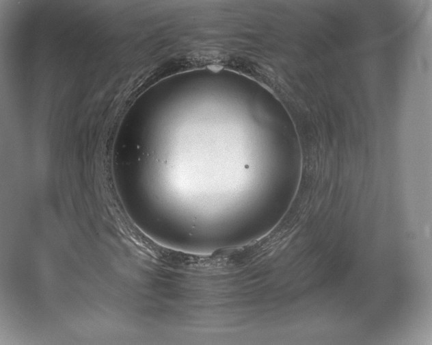 X0000067831201200604171118