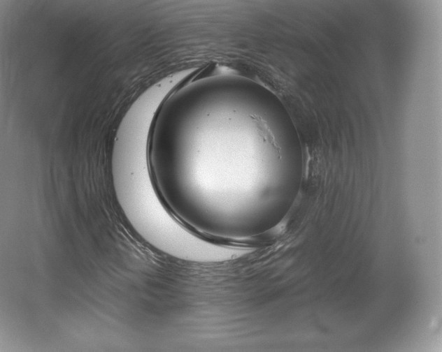 X0000067831202200604171118