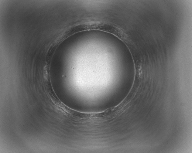 X0000067831204200604171118