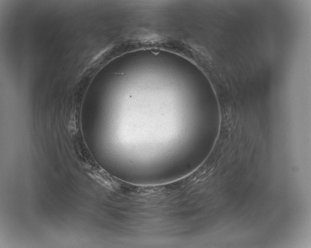 X0000067831205200604171118