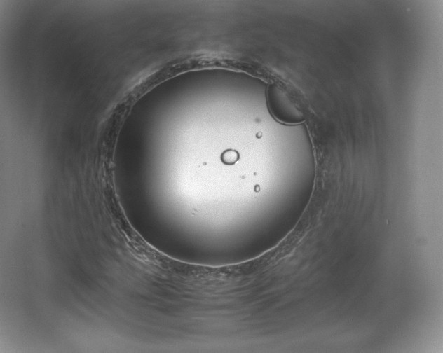 X0000067831207200604171118