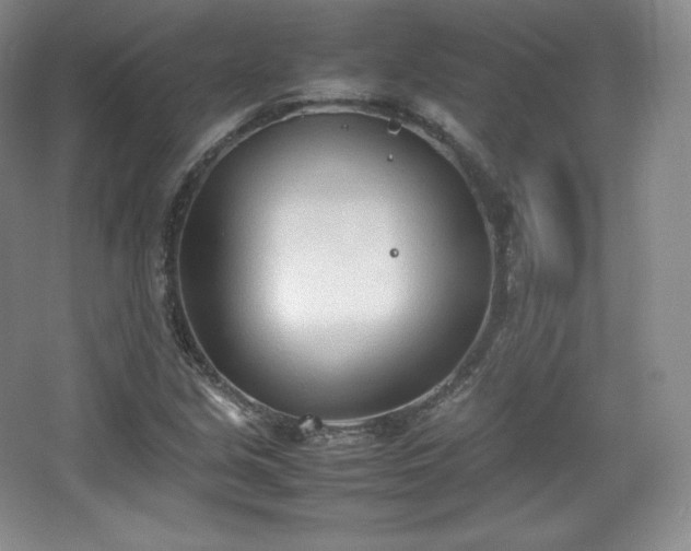 X0000067831213200604171118