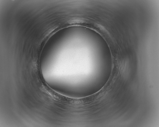 X0000067831217200604171118