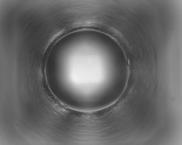 X0000067831218200604171118