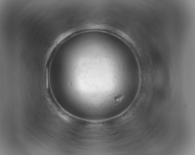 X0000067831223200604171118