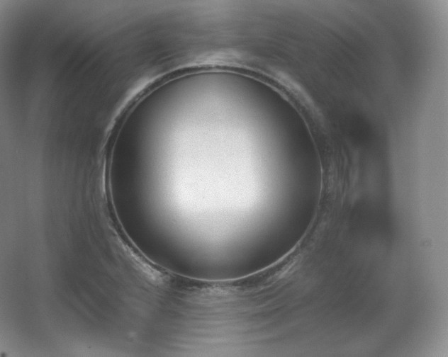 X0000067831224200604171118