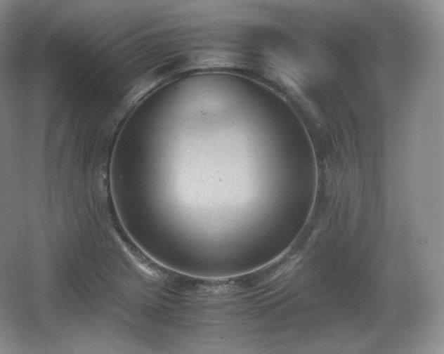 X0000067831225200604171118