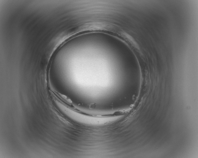 X0000067831226200604171118