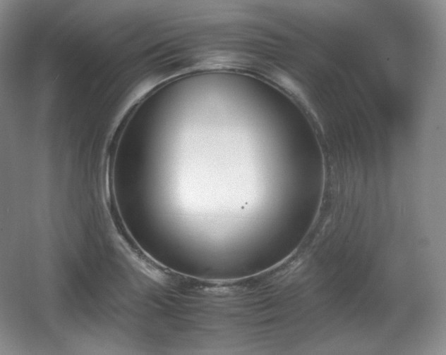 X0000067831227200604171118