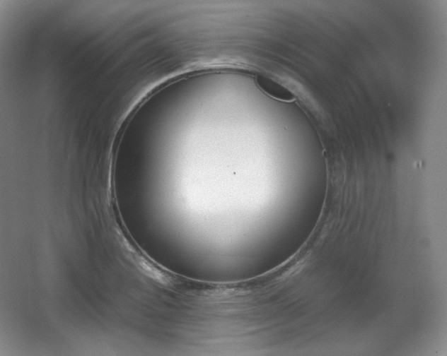 X0000067831228200604171118