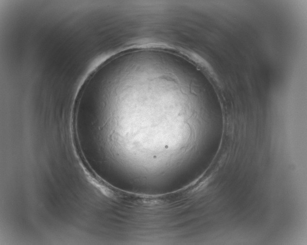 X0000067831231200604171118