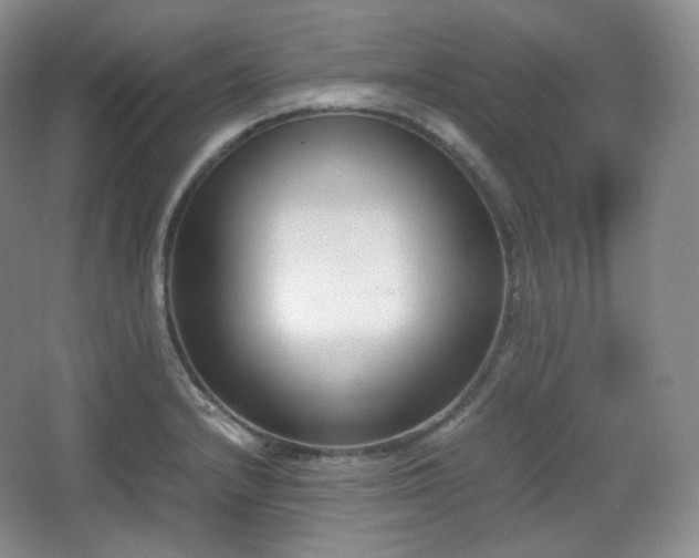 X0000067831232200604171118