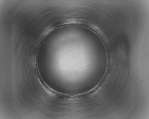 X0000067831233200604171118