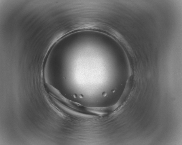 X0000067831234200604171118