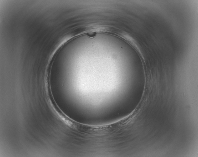 X0000067831235200604171118