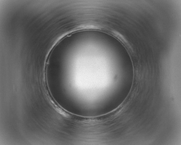 X0000067831236200604171118