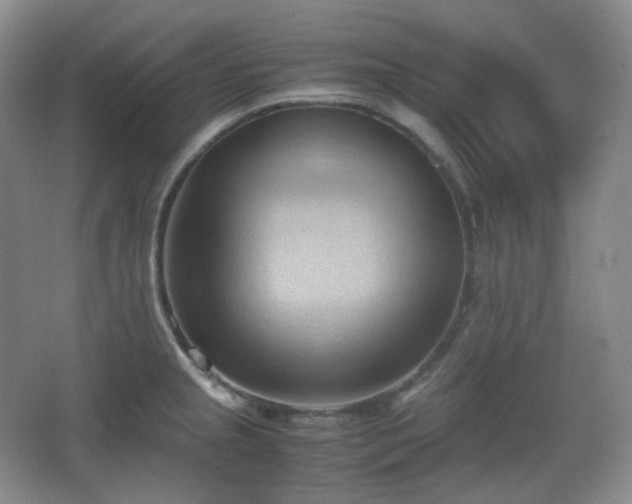 X0000067831237200604171118