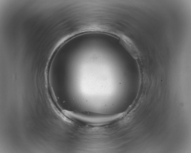 X0000067831238200604171118