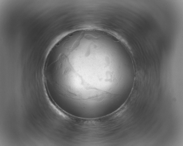 X0000067831239200604171118