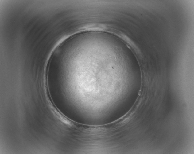 X0000067831240200604171119