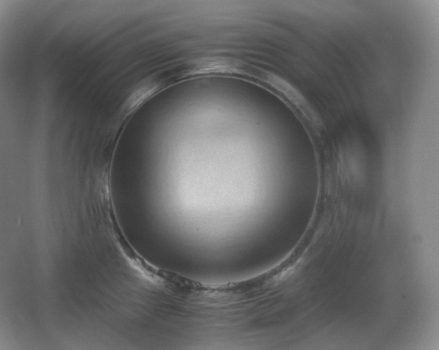 X0000067831241200604171119