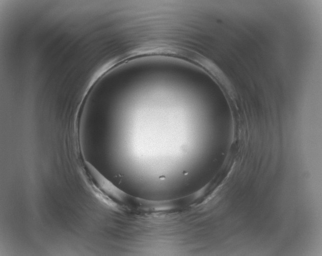 X0000067831242200604171119