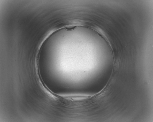 X0000067831243200604171119