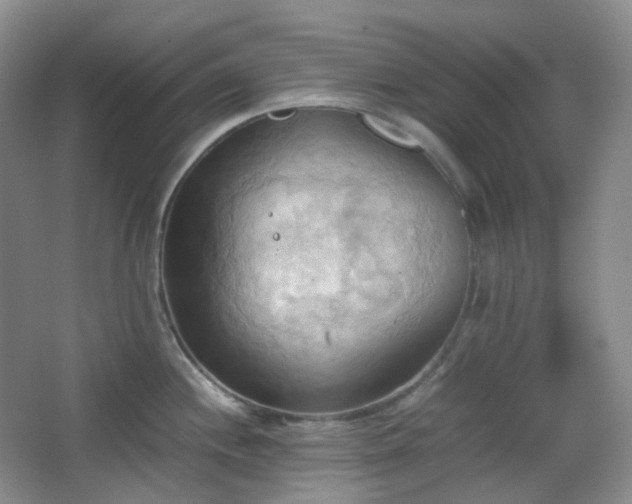 X0000067831244200604171119