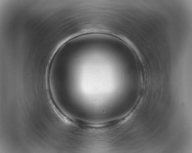 X0000067831246200604171119