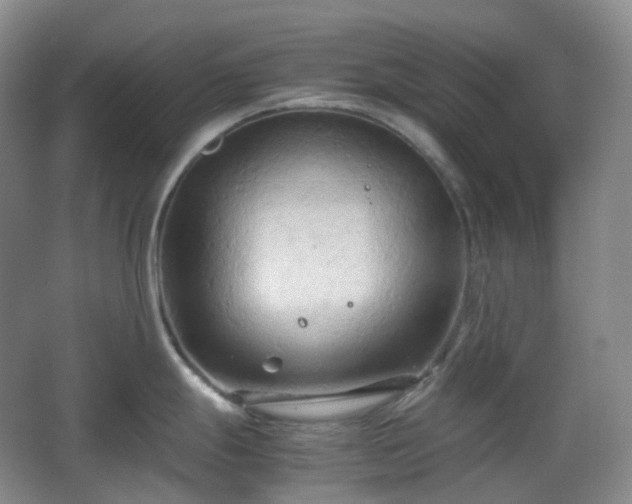 X0000067831247200604171119