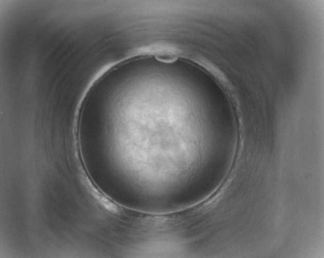 X0000067831248200604171119