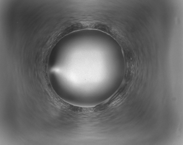 X0000067831249200604171118