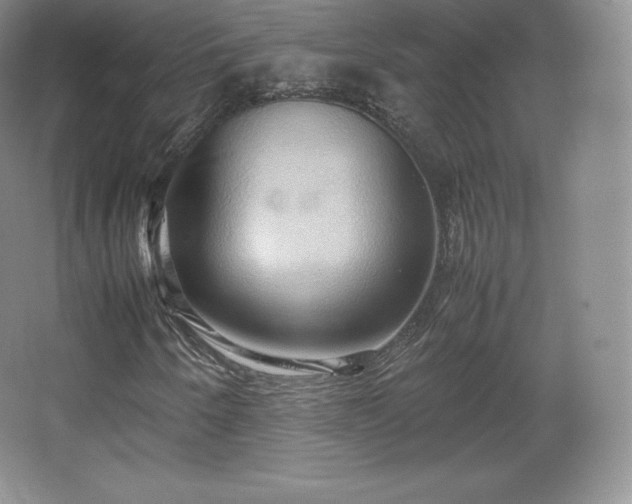 X0000067831250200604171118