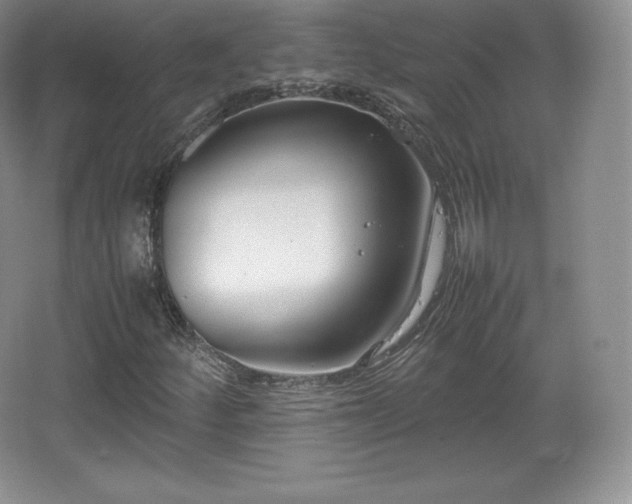 X0000067831252200604171118