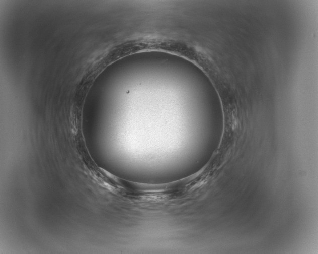 X0000067831253200604171118