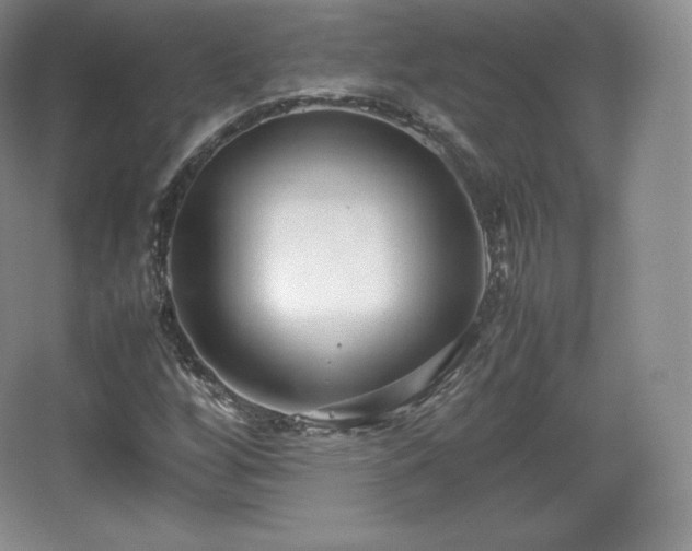 X0000067831256200604171118