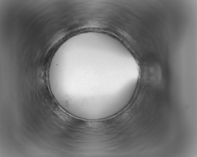 X0000067831258200604171118