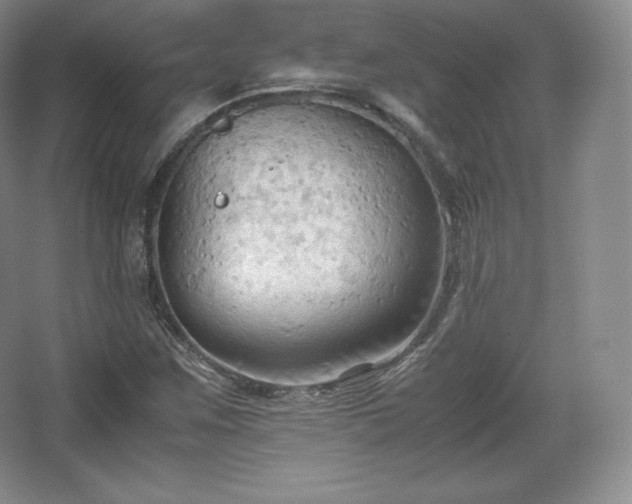 X0000067831259200604171118