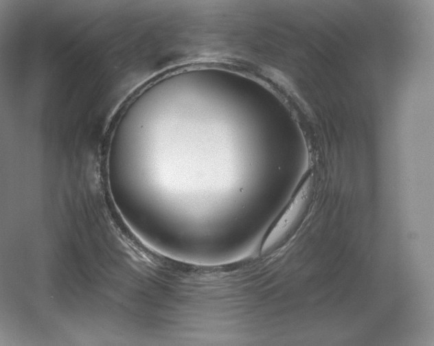 X0000067831260200604171118