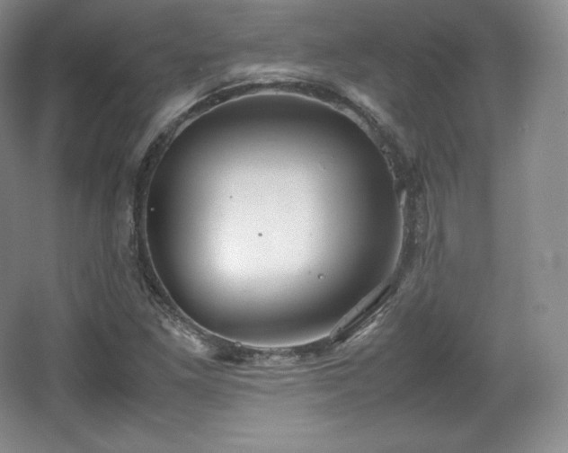 X0000067831261200604171118