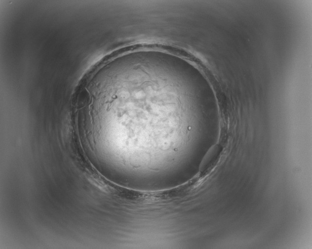 X0000067831263200604171118